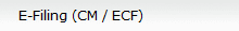 E-Filing (CM / ECF)